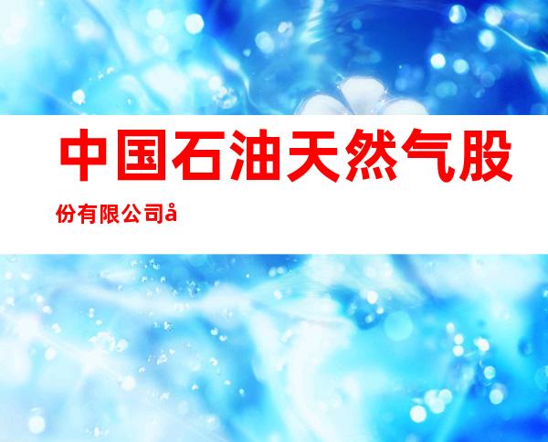 中国石油天然气股份有限公司吉林白山销售分公司东山加油站